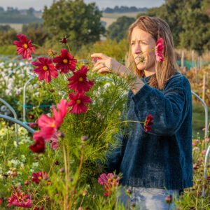 Design Workshop: From Field To Vase