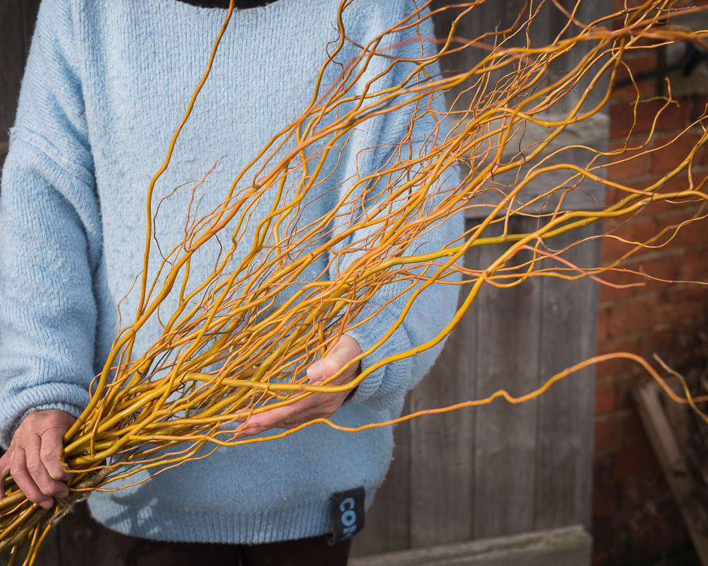 Wobbly Willow - Image 2