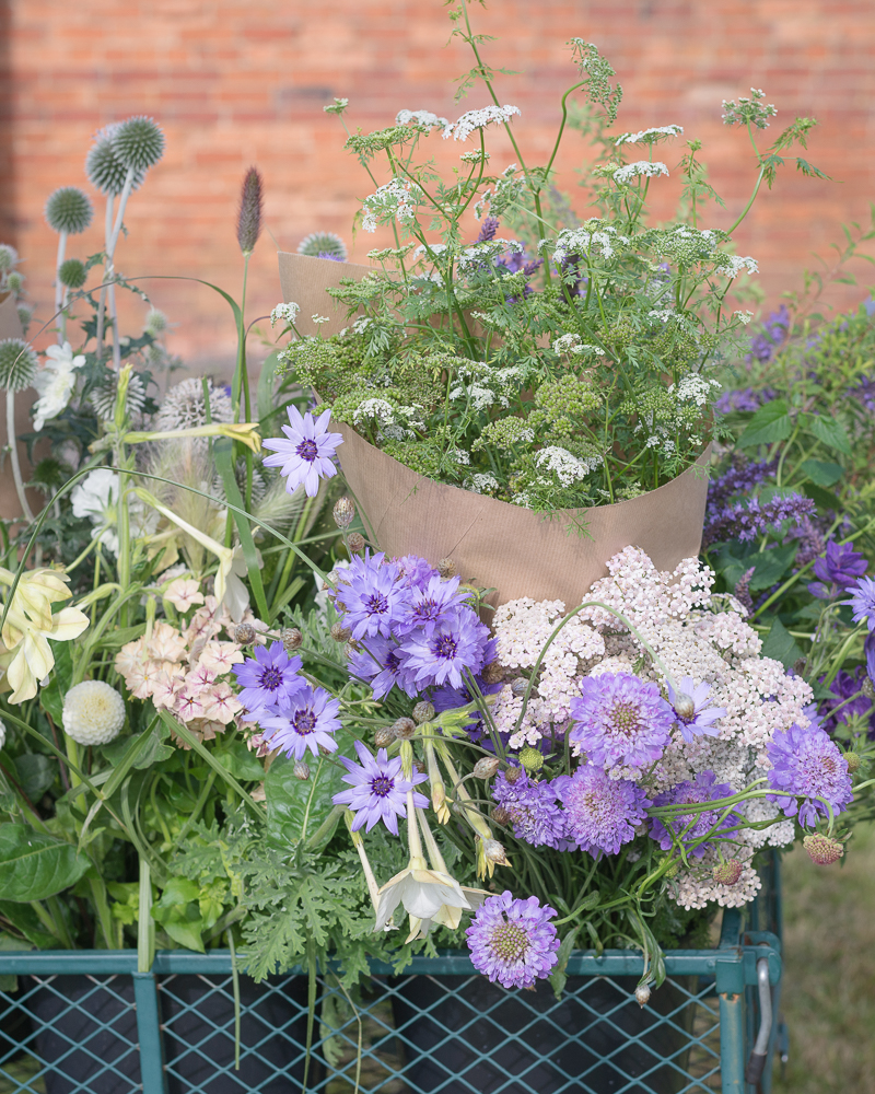 Design Workshop: From Field To Vase - Image 4