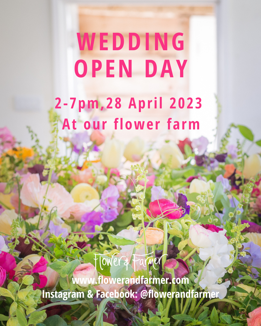 Wedding Open Day