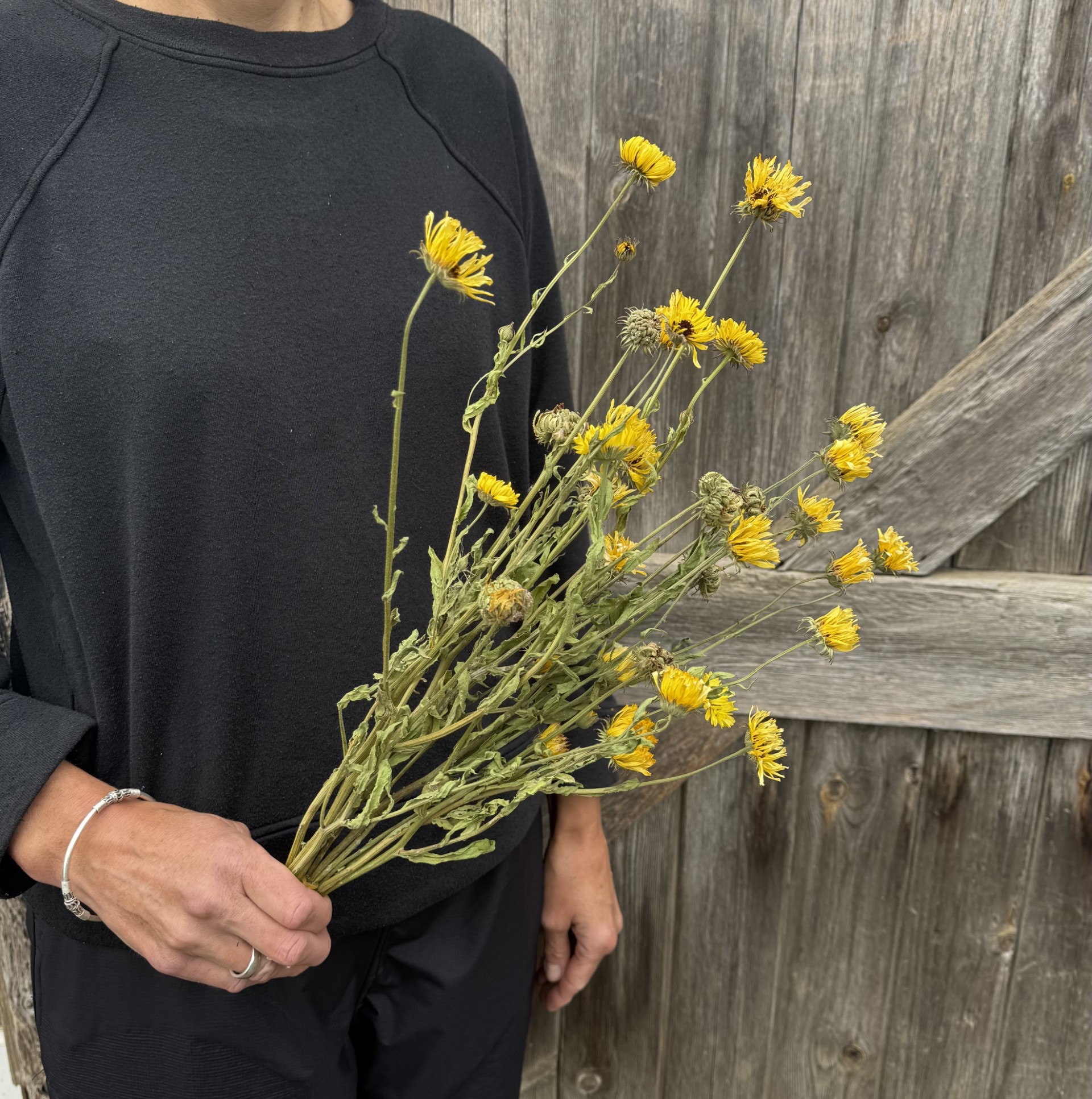 Calendula Snow Princess - Image 3