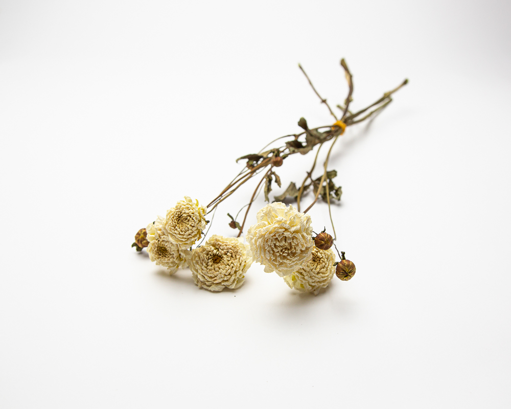 Dahlia Rossendale Natasha - Image 2