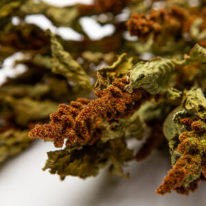 Amaranthus Hot Biscuits