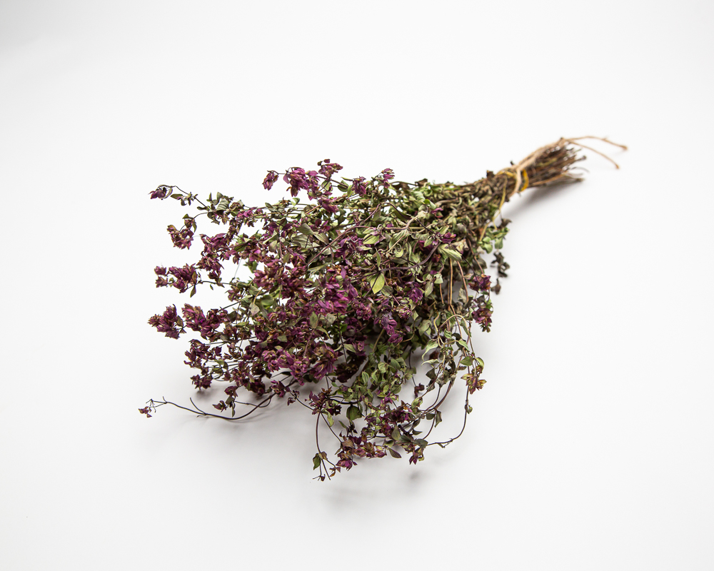 Oregano - Image 2