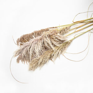 Pampas - aubergine and silver