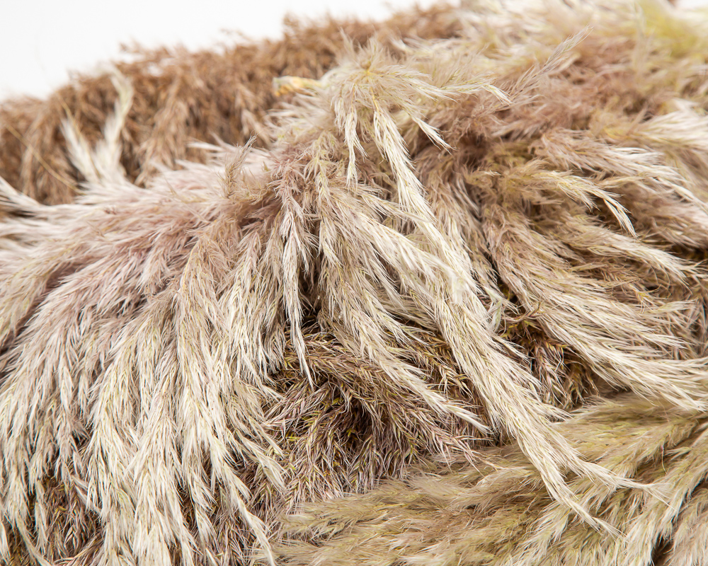 Pampas - aubergine and silver - Image 2