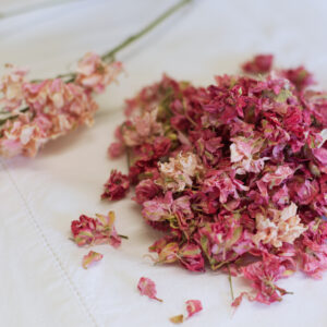 Larkspur Confetti - Pink