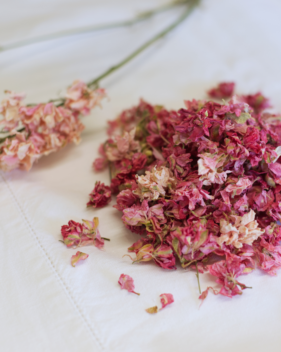 Larkspur Confetti - Pink