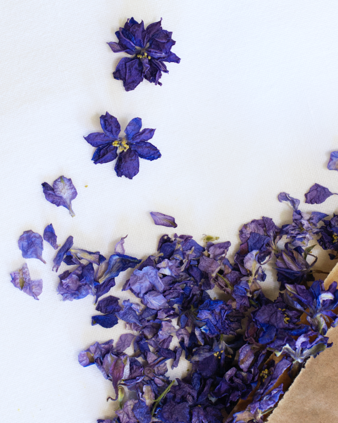 Larkspur Confetti - Blue - Image 2