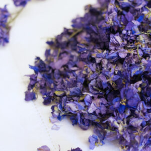 Larkspur Confetti - Blue