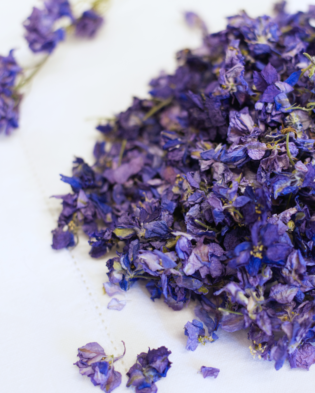 Larkspur Confetti - Blue