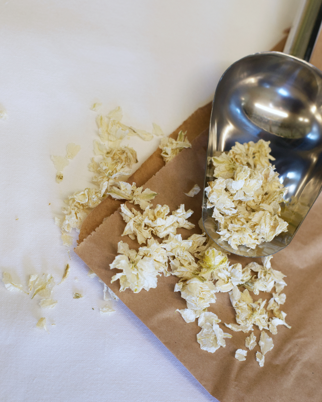 Larkspur Confetti - Natural - Image 2